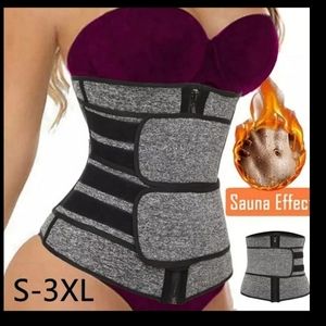 Waist trimmer/trainer